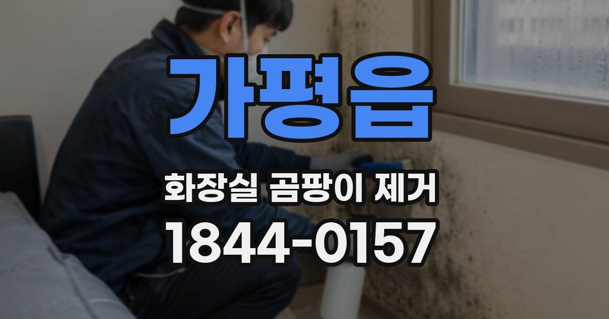 가평읍 화장실 곰팡이 제거