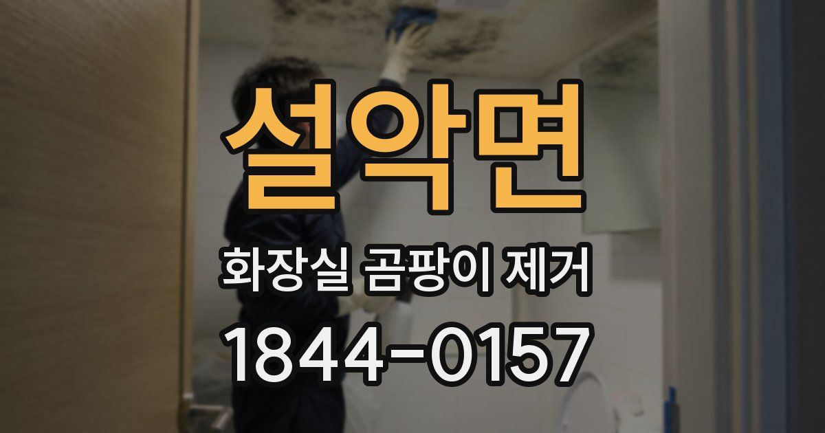 설악면 화장실 곰팡이 제거