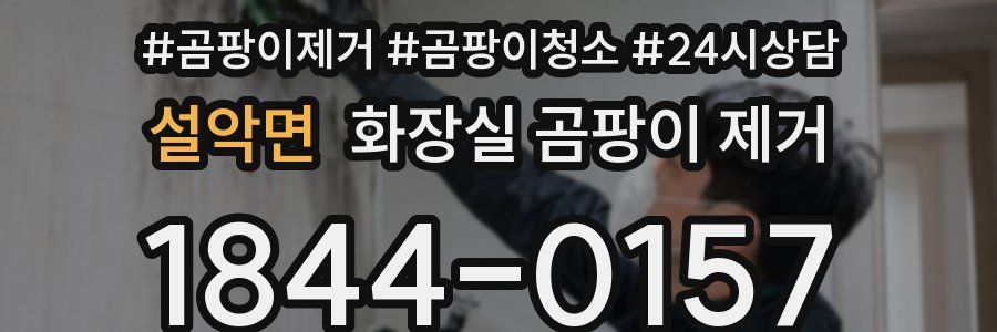 설악면 화장실 곰팡이 제거