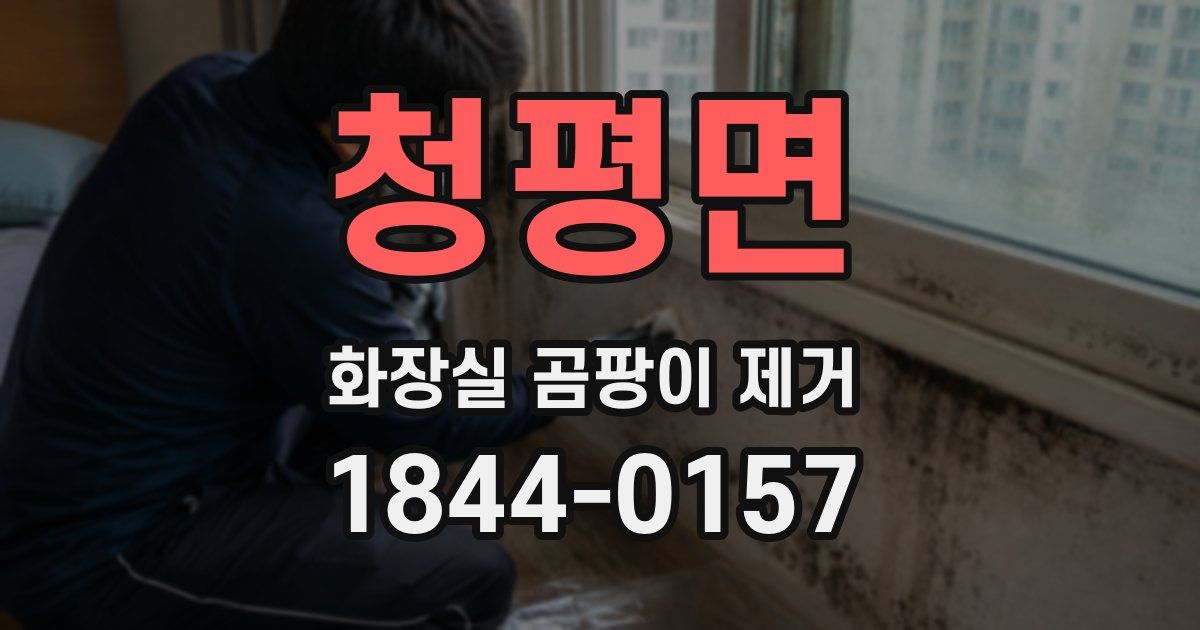 청평면 화장실 곰팡이 제거