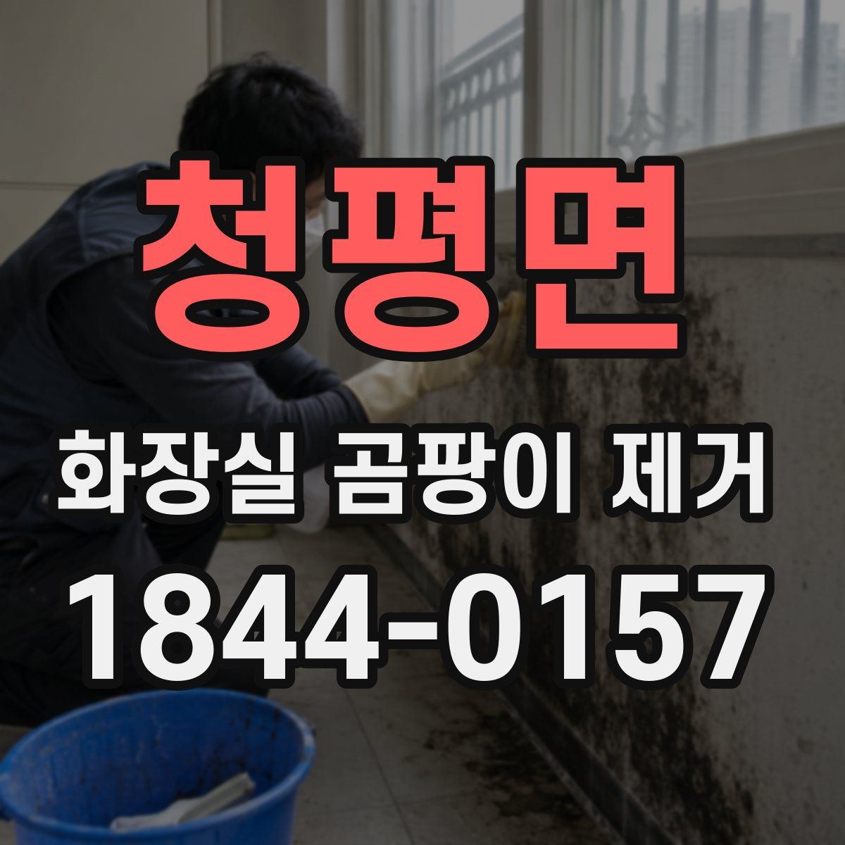 청평면 화장실 곰팡이 제거