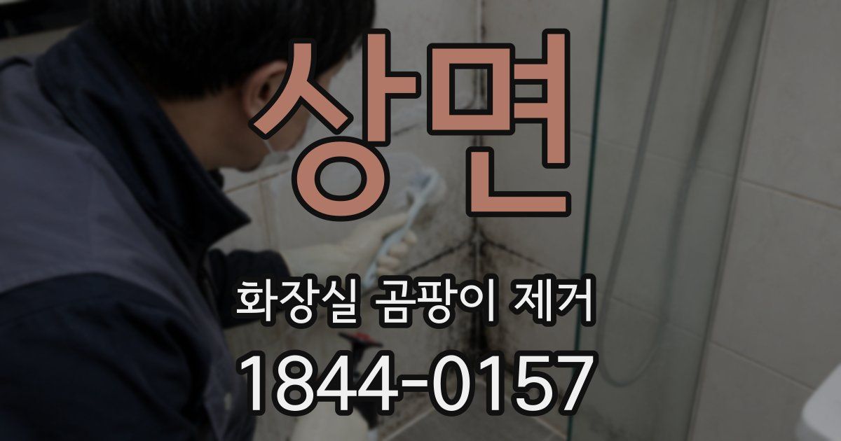 상면 화장실 곰팡이 제거