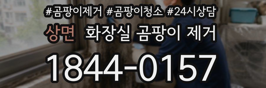 상면 화장실 곰팡이 제거