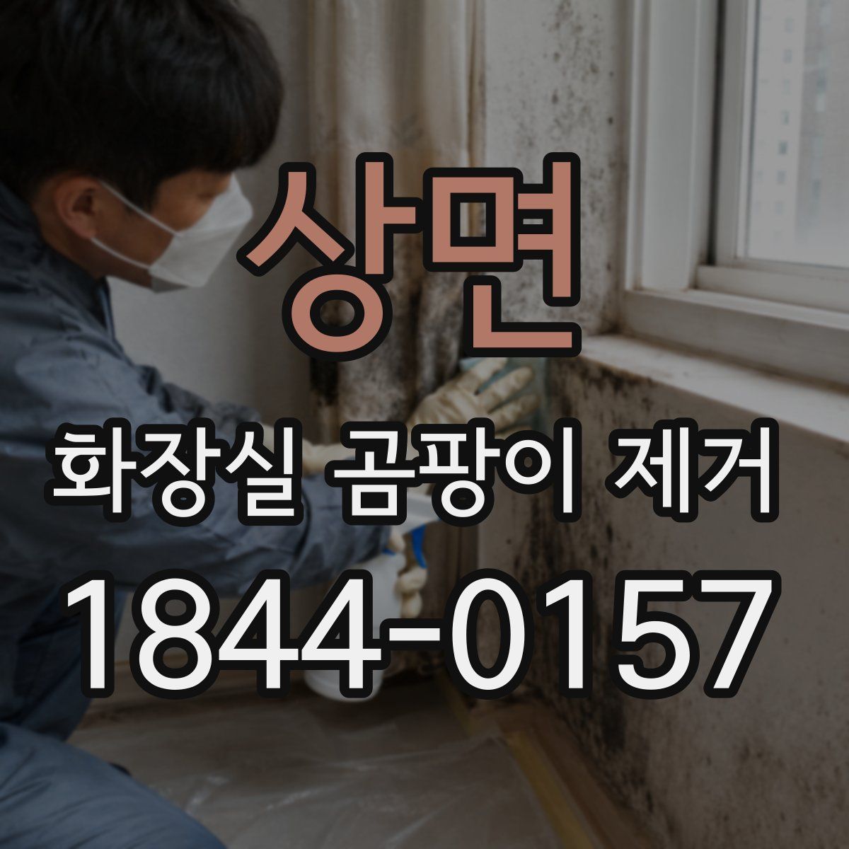 상면 화장실 곰팡이 제거