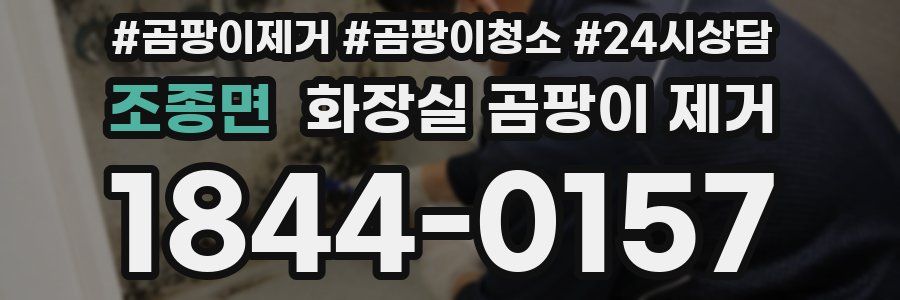 조종면 화장실 곰팡이 제거