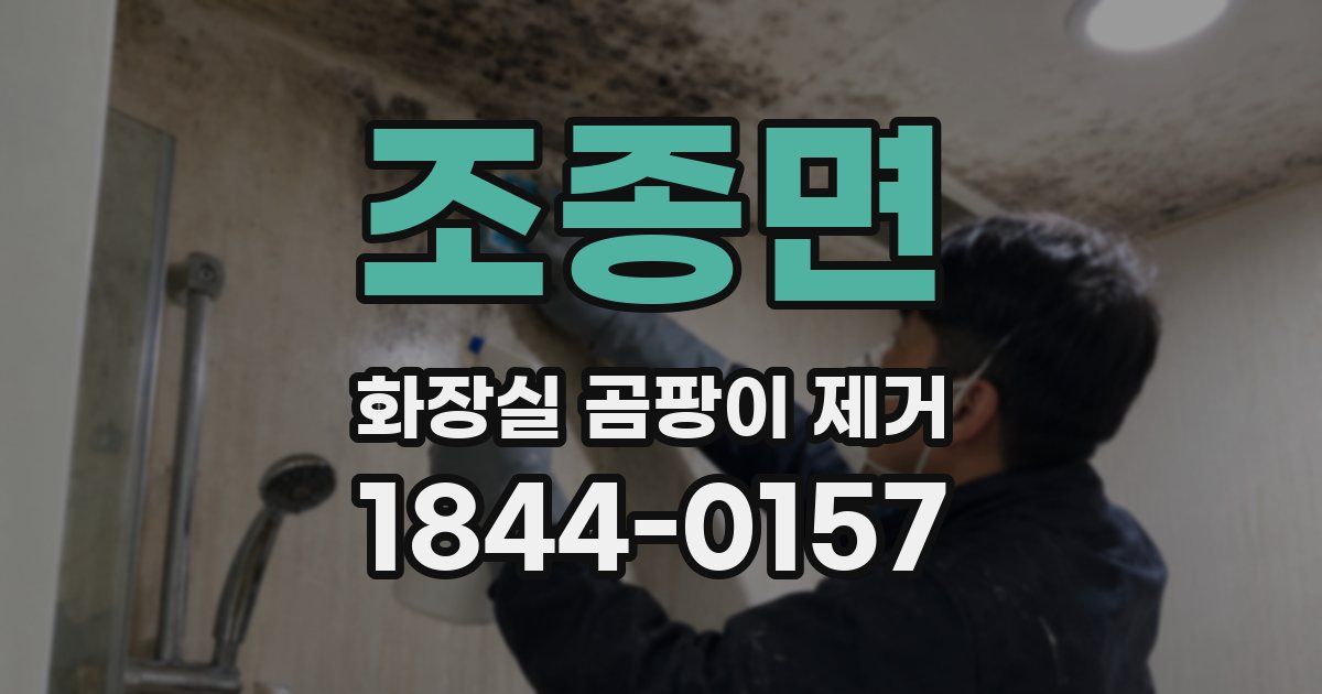 조종면 화장실 곰팡이 제거