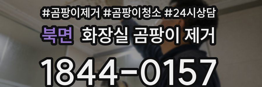 북면 화장실 곰팡이 제거