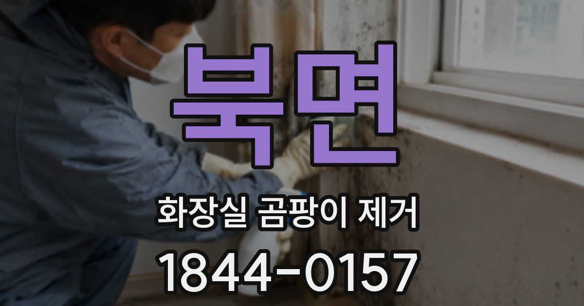 북면 화장실 곰팡이 제거