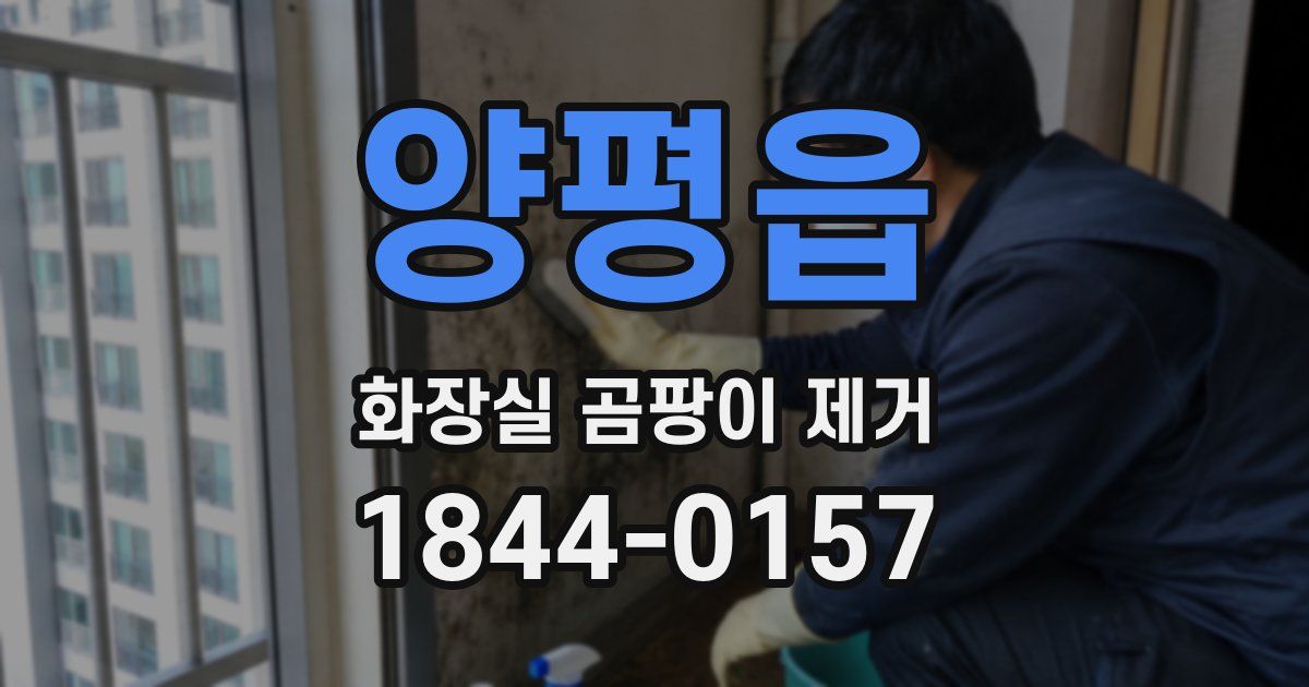 양평읍 화장실 곰팡이 제거
