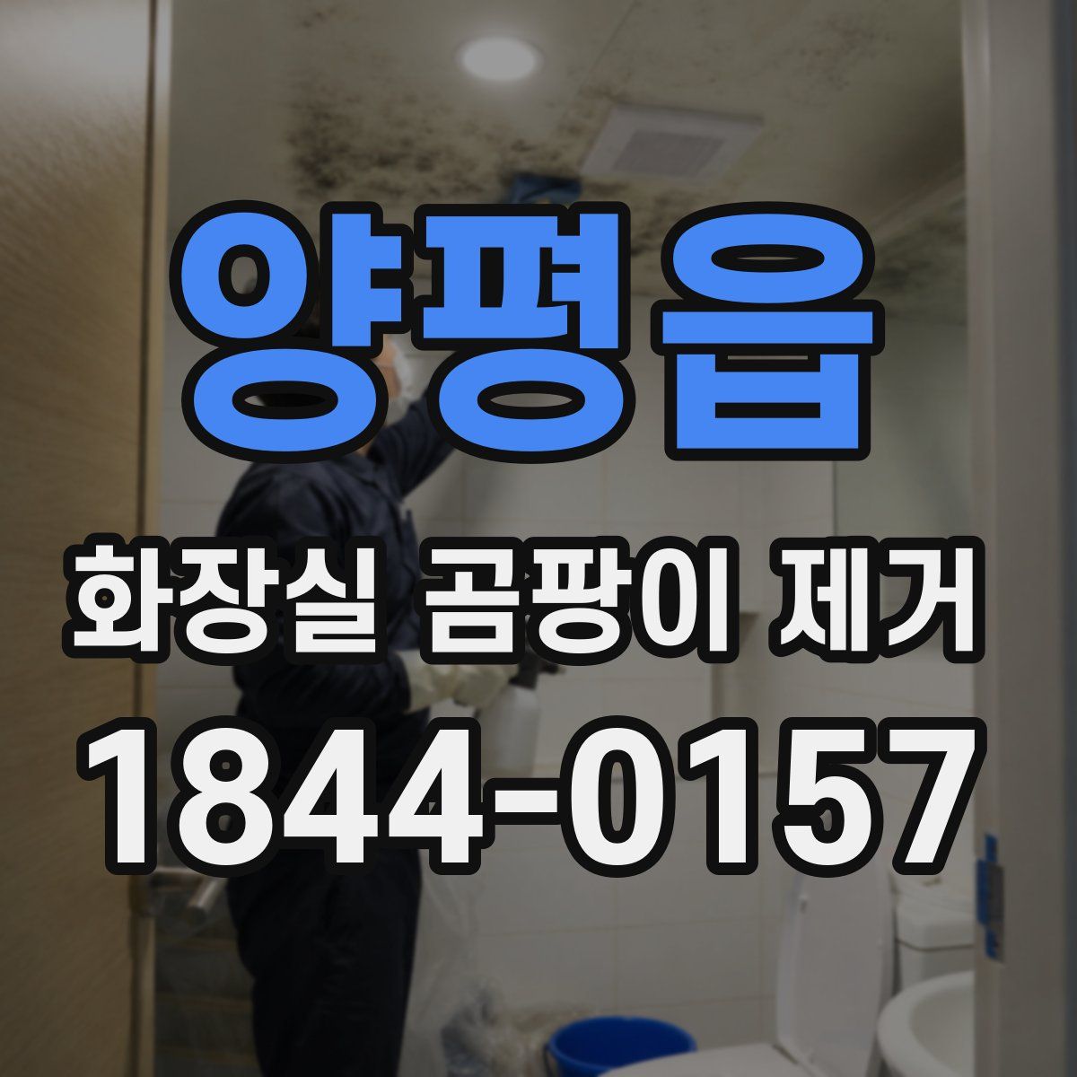 양평읍 화장실 곰팡이 제거