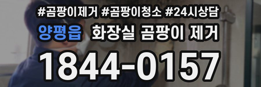 양평읍 화장실 곰팡이 제거