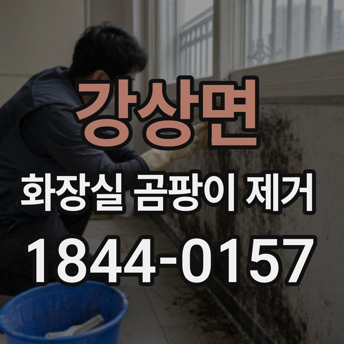 강상면 화장실 곰팡이 제거 변기 인근과 배수구를 같이 점검하는 이유