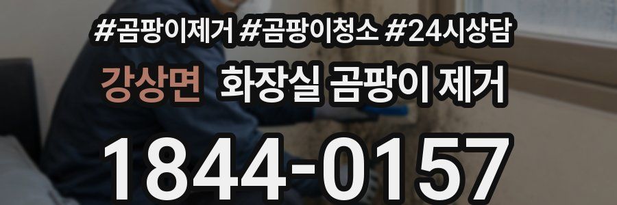 강상면 화장실 곰팡이 제거