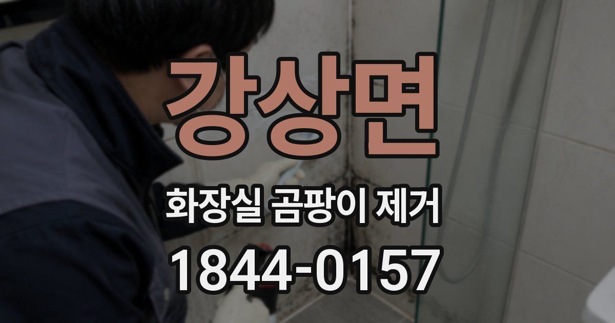 강상면 화장실 곰팡이 제거
