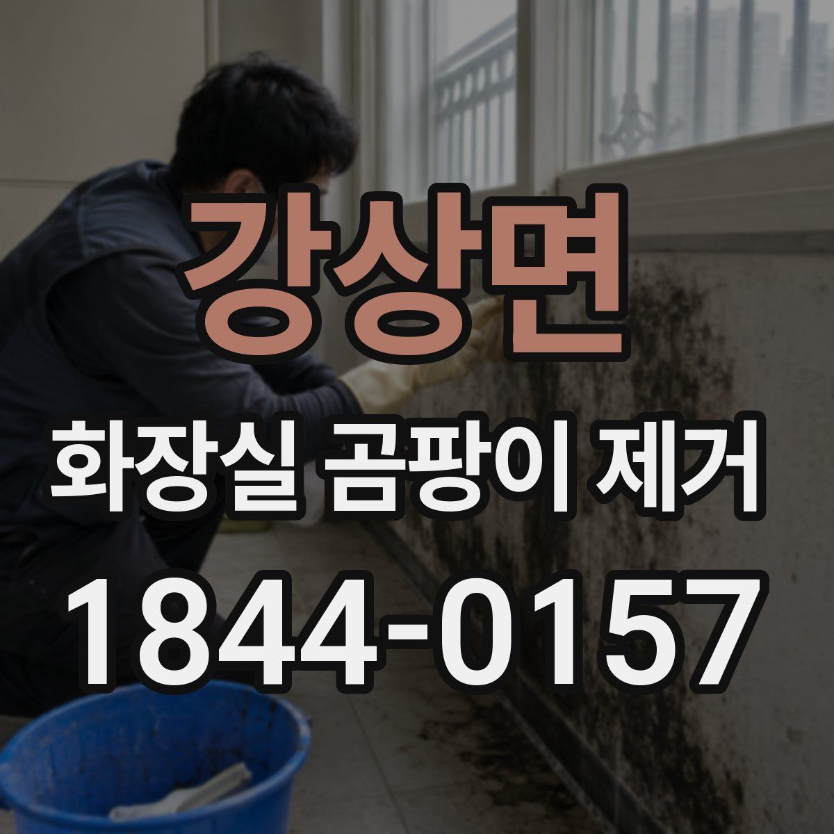 강상면 화장실 곰팡이 제거