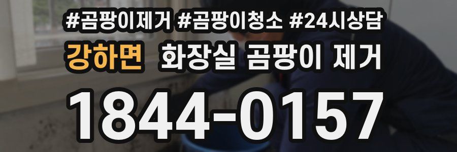 강하면 화장실 곰팡이 제거