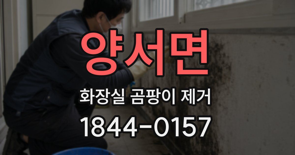 양서면 화장실 곰팡이 제거