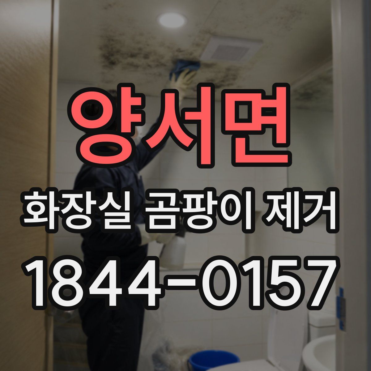 양서면 화장실 곰팡이 제거