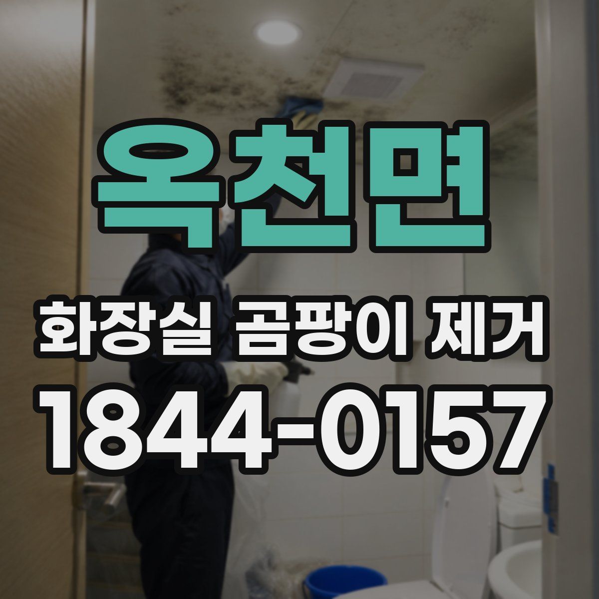 옥천면 화장실 곰팡이 제거