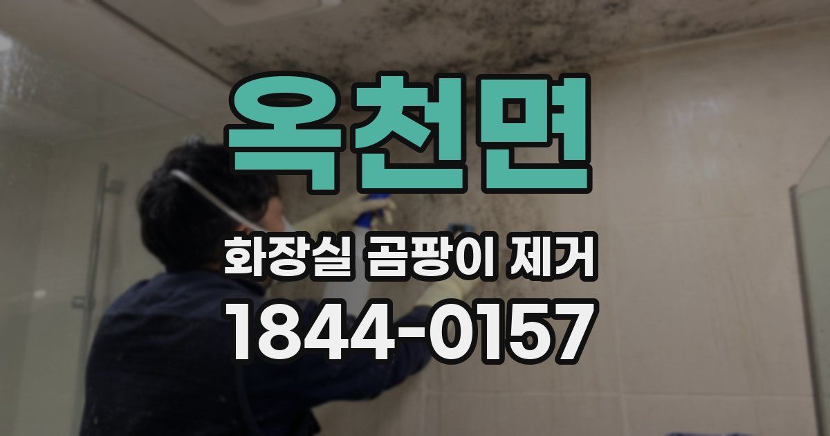 옥천면 화장실 곰팡이 제거