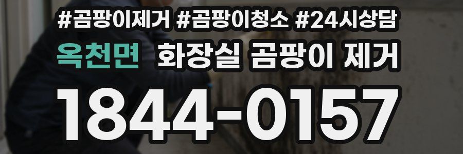 옥천면 화장실 곰팡이 제거