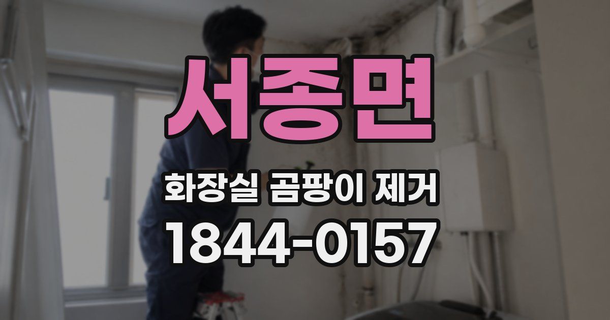 서종면 화장실 곰팡이 제거