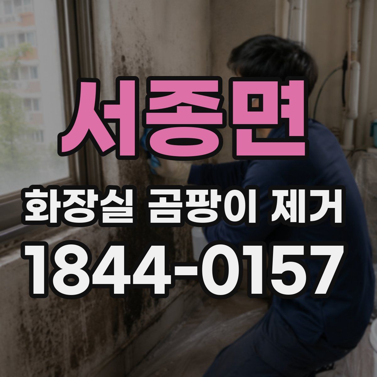 서종면 화장실 곰팡이 제거