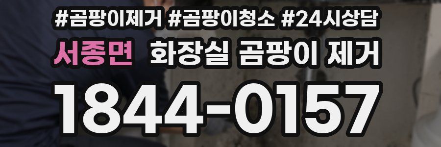 서종면 화장실 곰팡이 제거