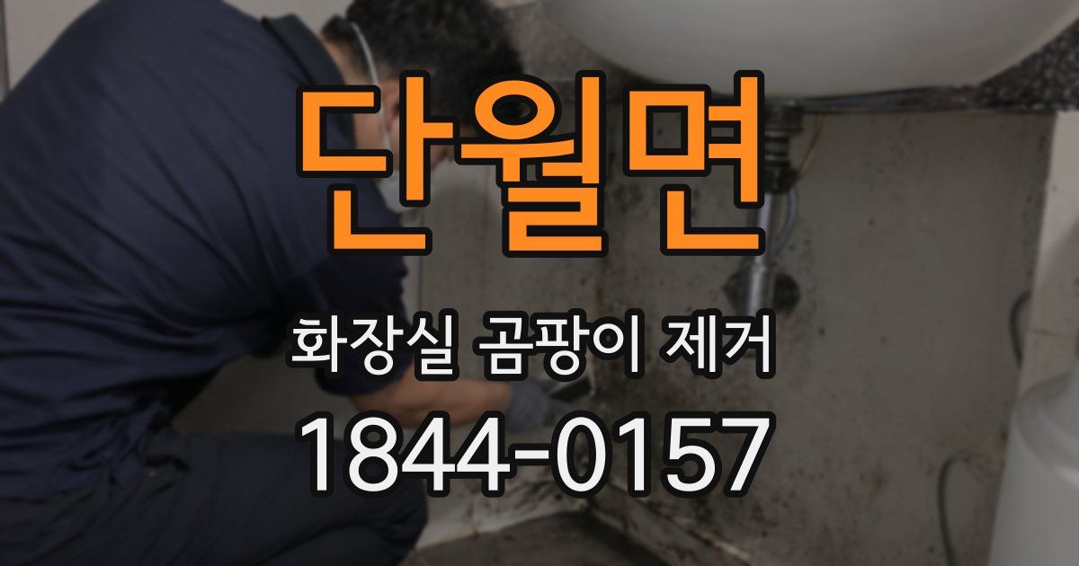 단월면 화장실 곰팡이 제거