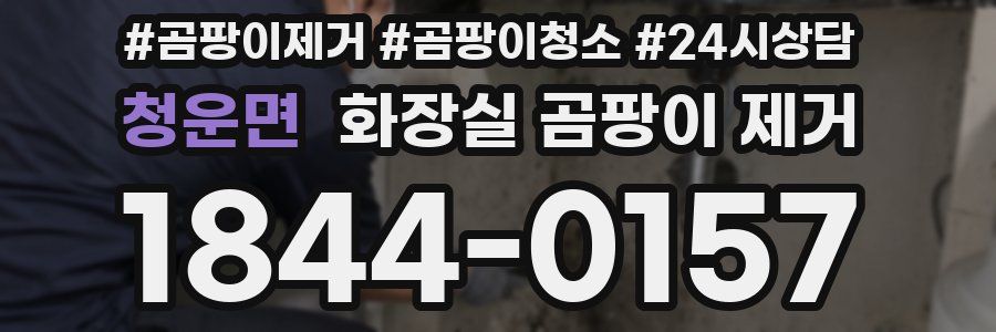 청운면 화장실 곰팡이 제거