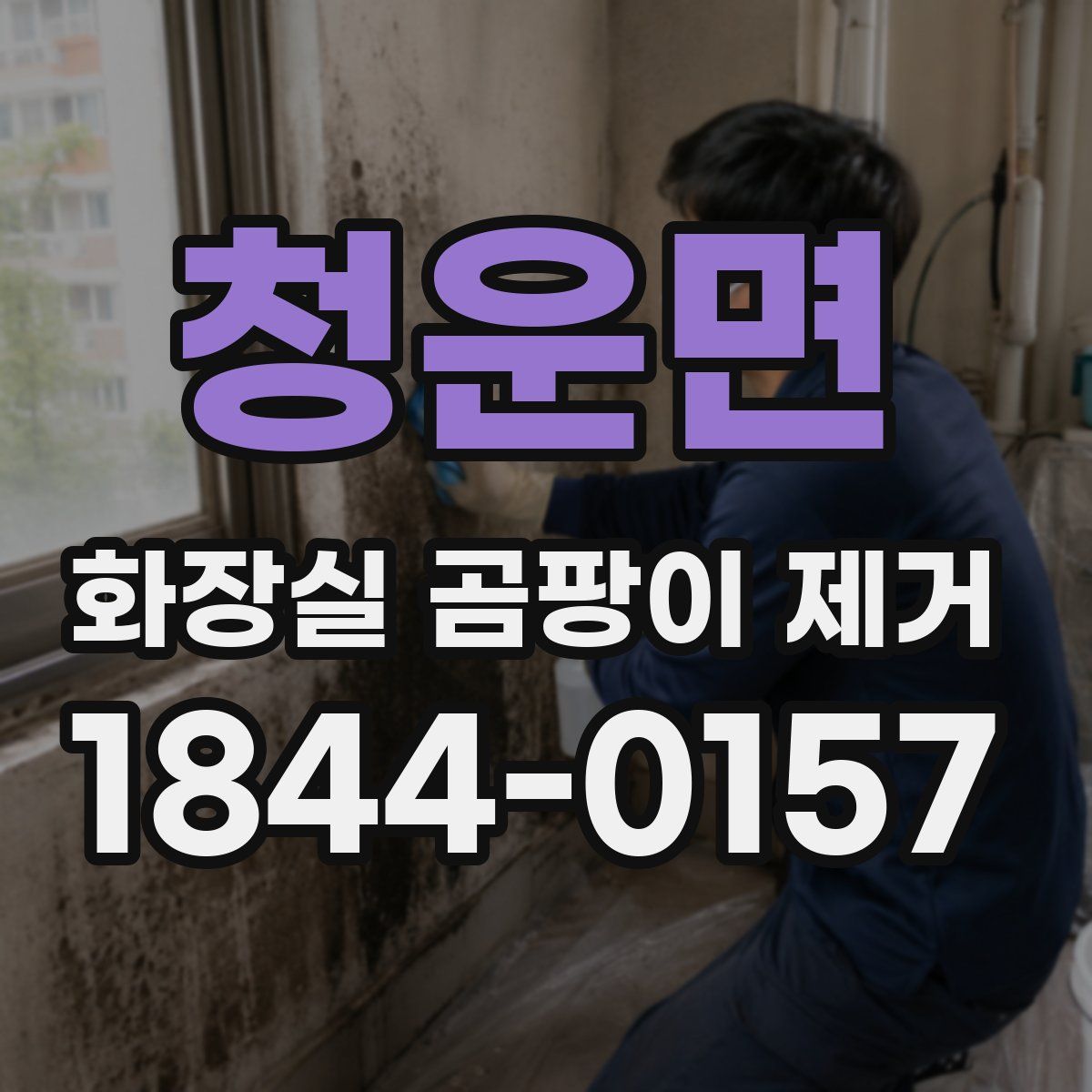 청운면 화장실 곰팡이 제거