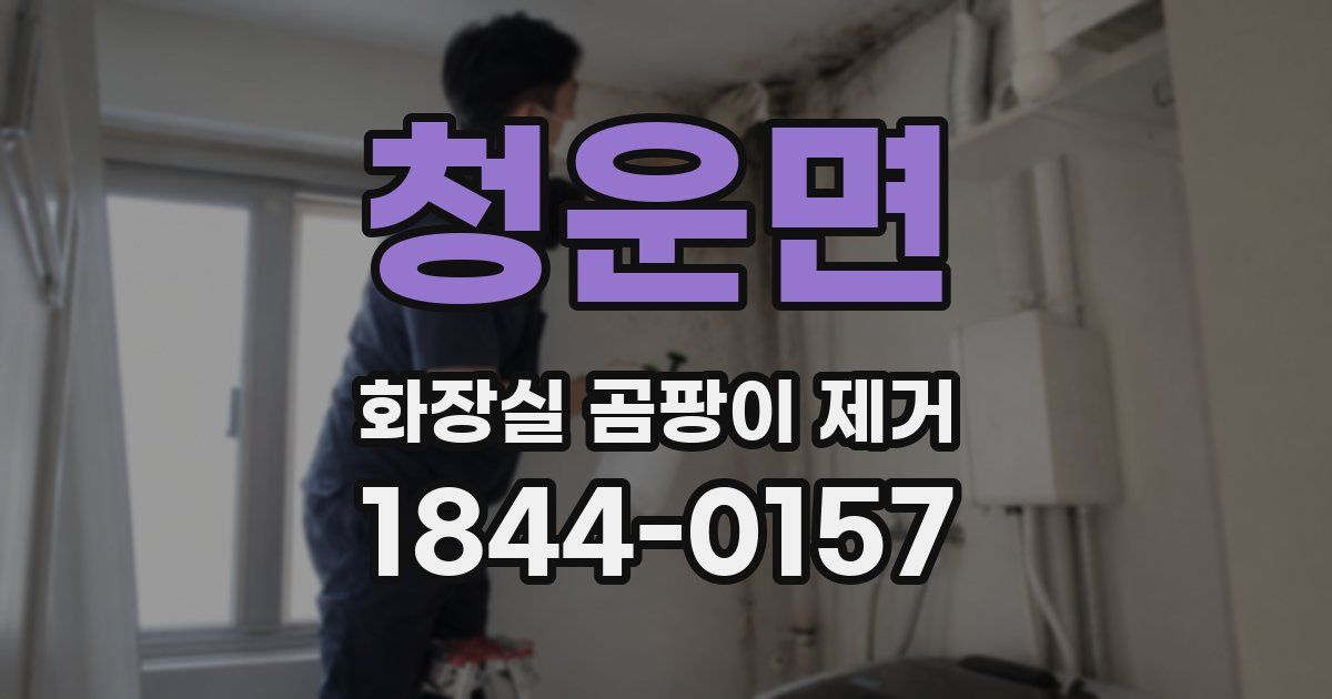 청운면 화장실 곰팡이 제거
