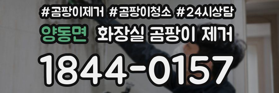 양동면 화장실 곰팡이 제거