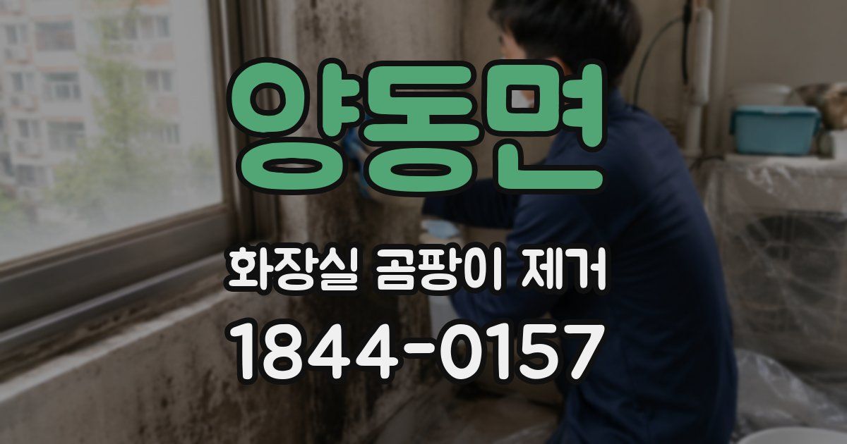 양동면 화장실 곰팡이 제거