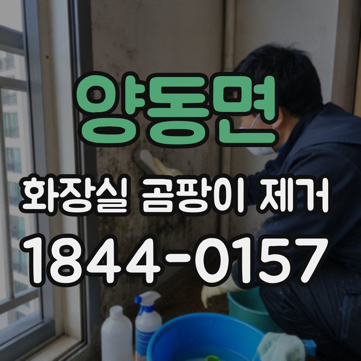 양동면 화장실 곰팡이 제거