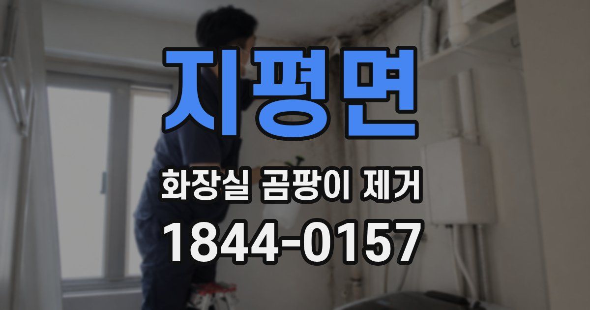 지평면 화장실 곰팡이 제거