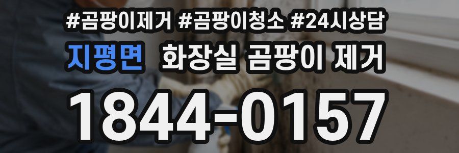 지평면 화장실 곰팡이 제거