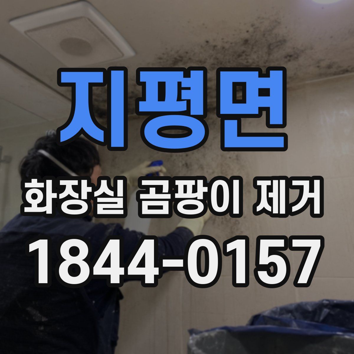 지평면 화장실 곰팡이 제거