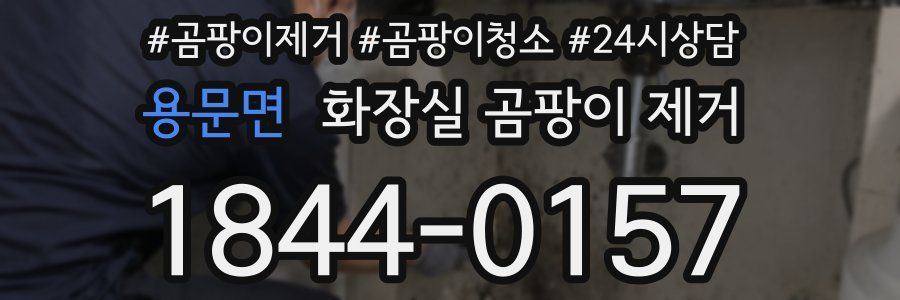 용문면 화장실 곰팡이 제거