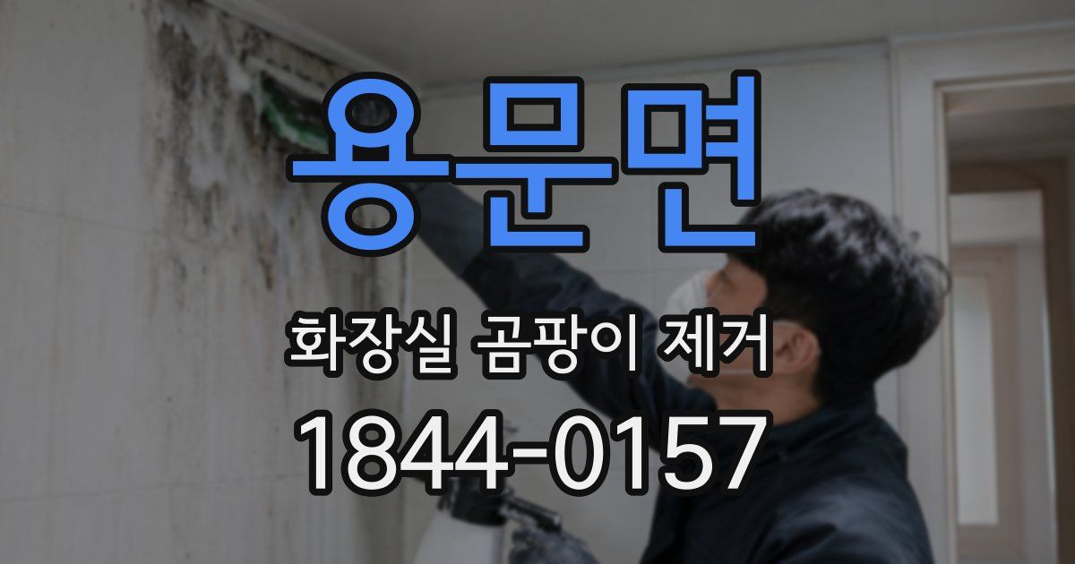 용문면 화장실 곰팡이 제거