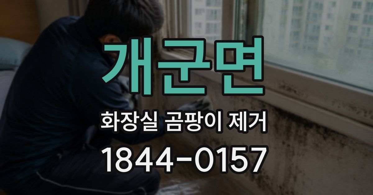 개군면 화장실 곰팡이 제거