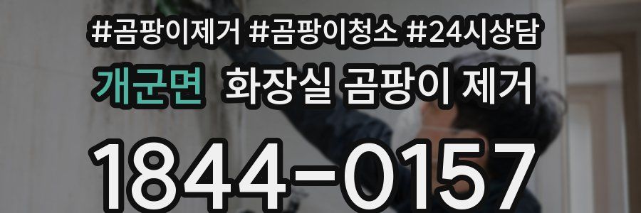 개군면 화장실 곰팡이 제거