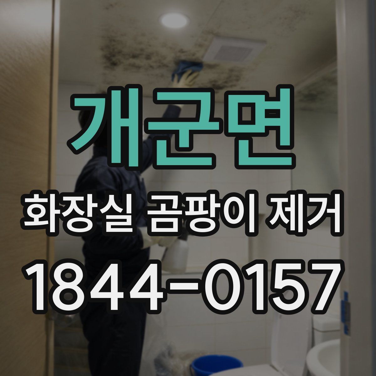 개군면 화장실 곰팡이 제거
