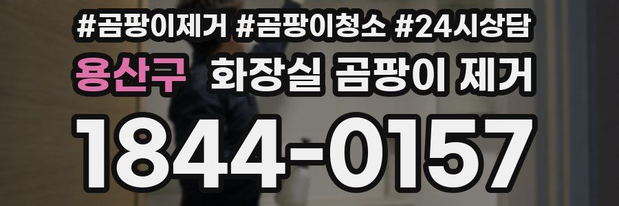 용산구 화장실 곰팡이 제거