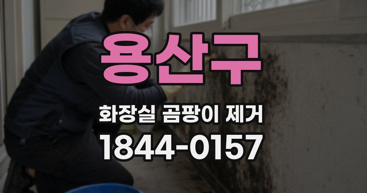 용산구 화장실 곰팡이 제거