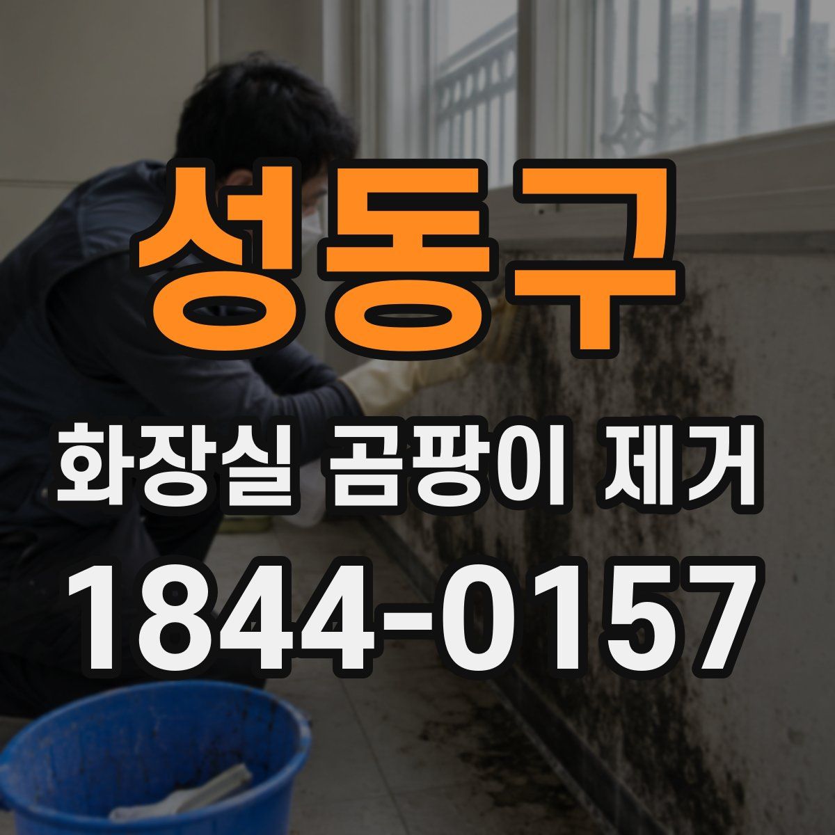 성동구 화장실 곰팡이 제거