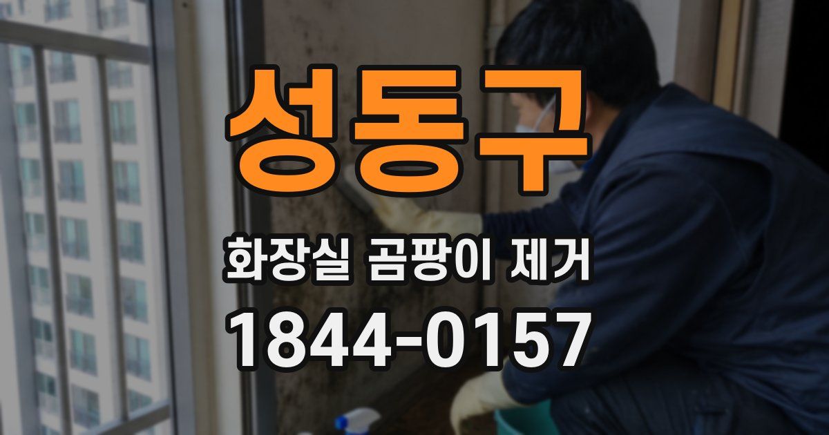 성동구 화장실 곰팡이 제거