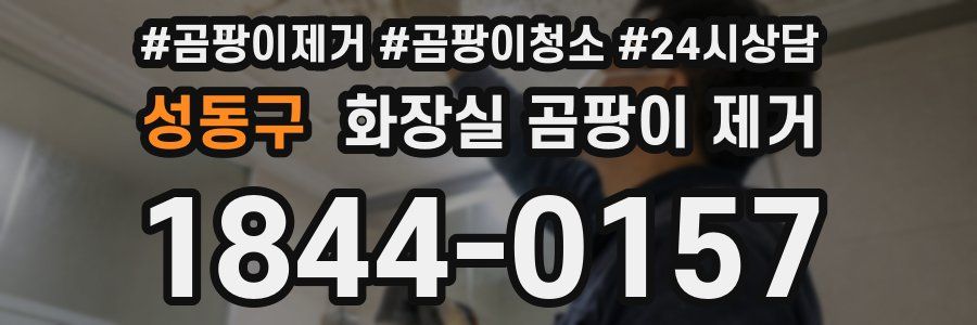 성동구 화장실 곰팡이 제거