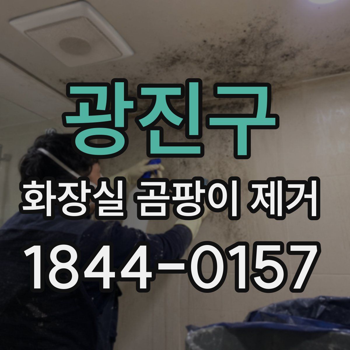 광진구 화장실 곰팡이 제거