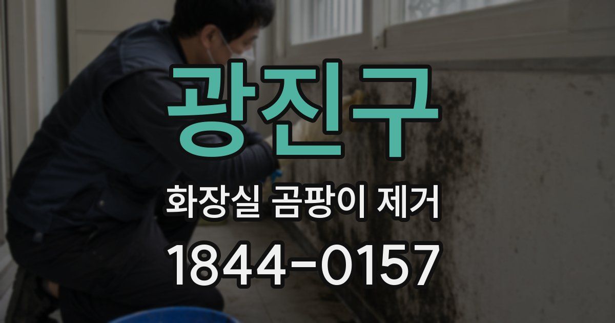 광진구 화장실 곰팡이 제거